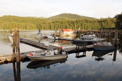 The marina at Winter Harbour.