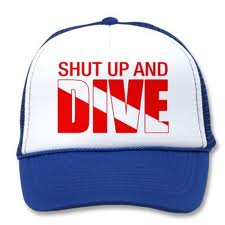 Shut up and Dive.jpg