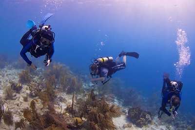 The requisite, group photo. I should have asked a passing diver to take a photo of all four of us. I'd like to see how you explain that underwater.