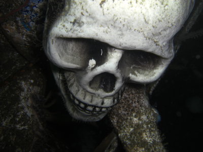 Another &quot;Scull&quot; shot!