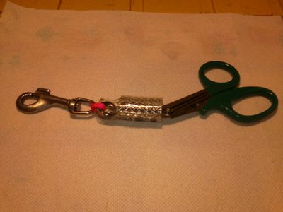 Shears in Sheath