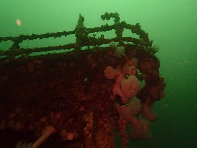 2012 12 09_Nanaimo Wreck_0009.JPG