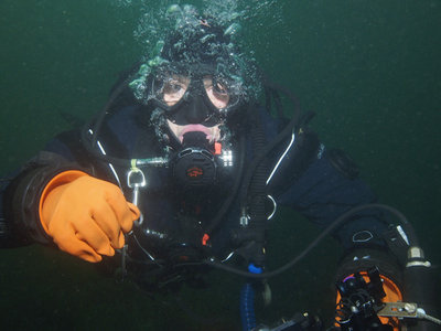 Lynne in the water column