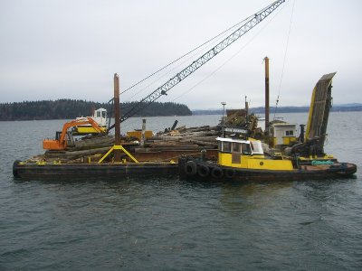 Piling removal system.