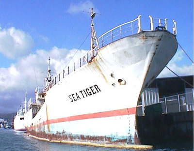 sea-tiger-shipwreck-01.jpg