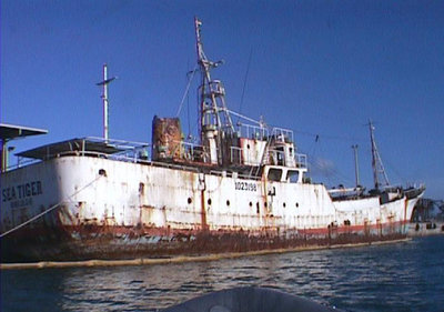 sea-tiger-shipwreck-02.jpg