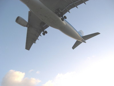Boeing 767 KLM plane (landing) over dive site