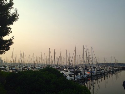 Eilliott Bay Marina