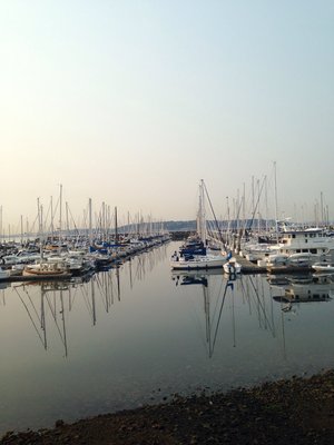 Eilliott Bay Marina