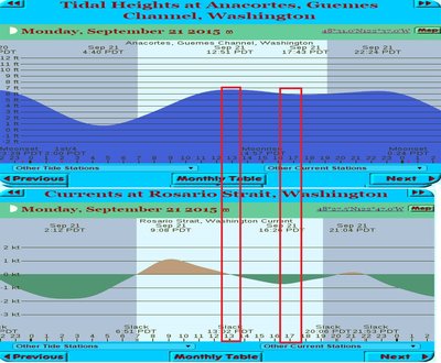 Whidbey-tide-current-combo-stretch+dives_v3.jpg