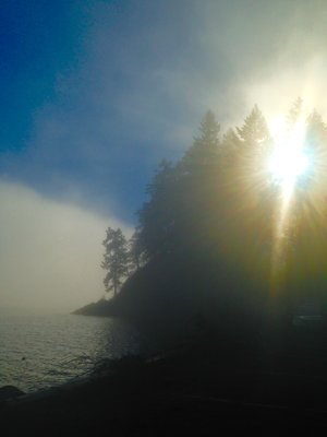 Sund Rock in the sunny fog