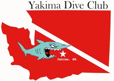 ydc shark logo 2 update A_resized.jpg