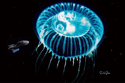 USS Voyager vs JellyFish