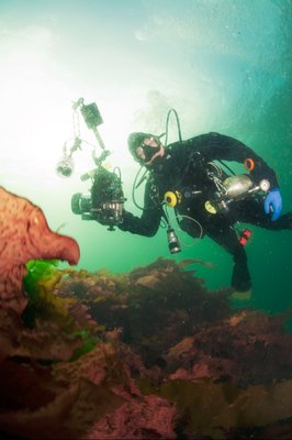 Sunshine at the top of the reef