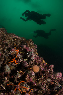 Andrea and Dan hover over the reef at Sunrise in perfect trim