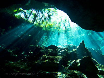 Cenote Sunlight.jpg
