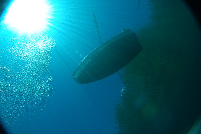 View from 30 feet down