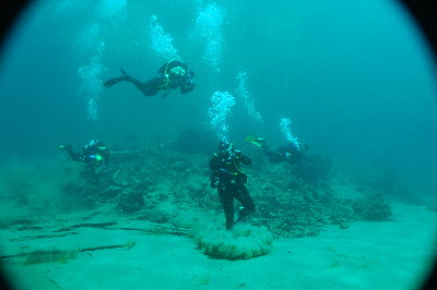 Some of the divers that made it up.  enjoying the viz.