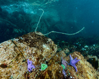 Reefs of Browning Pass (2 of 11).jpg