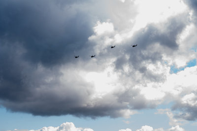 Black Hawks Swarmed over head as we got out from the East wall. Photo taken with my macro lens :)