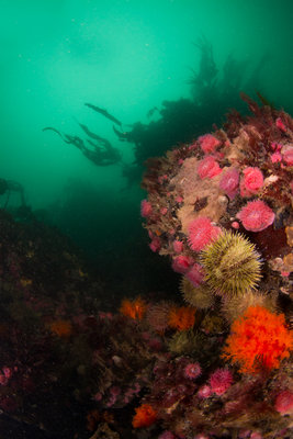 Deception Pass, near the entryway