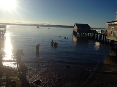 Super Cool ThThTh divers getting into the water on a nice sunny Thursday evening!