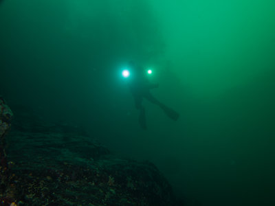 Me at roughly 60ft on a deco stop, Chris at about 30ft and the shadows above him... the trees on shore above the dive site!!!