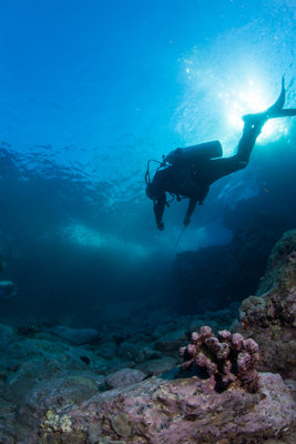 Exploring shallow wavy areas with caves