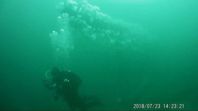 Tom P. Cove 2 (Alki) scuba dive  7-22-2018 -5.jpg