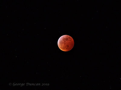 Super Blood Wolf Moon 2.jpg