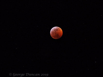 Super Blood Wolf Moon 3.jpg