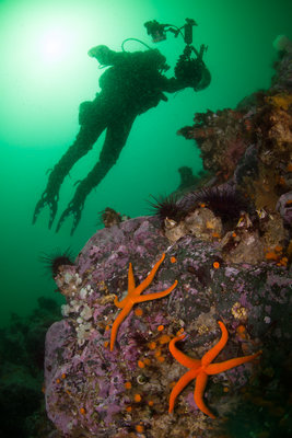 Sofie exploring the reef