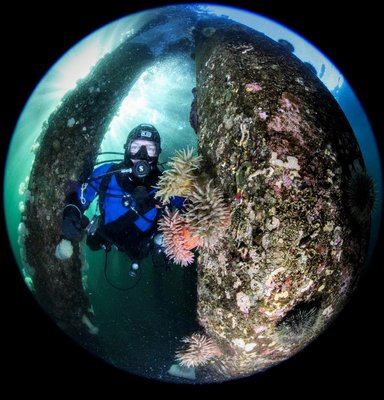Sophie got this snap of me in my new santi drysuit at Argonaut wharf.  Shot full frame with an 8mm fisheye.