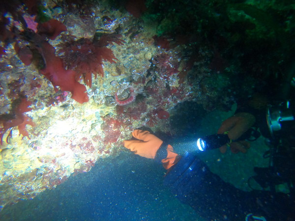 warbonnet at east wall