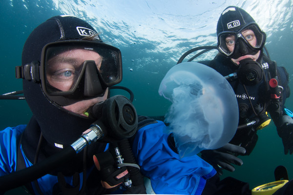 Selfies with a moon jelly, why not?