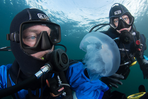 Moon jelly selfie with dive buddy