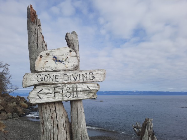 Beautiful spot to dive