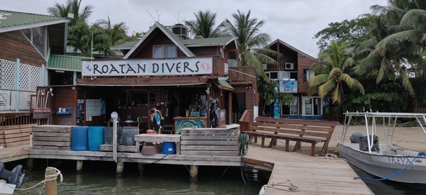 Roatan Divers.jpg