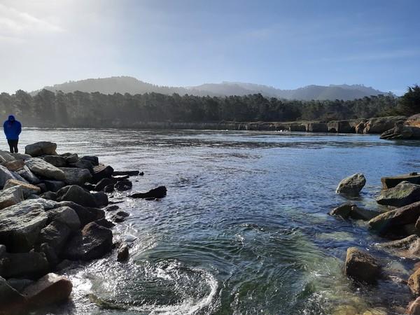 Point Lobos