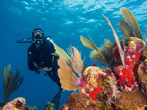 Arlene with Coral Fans.jpg