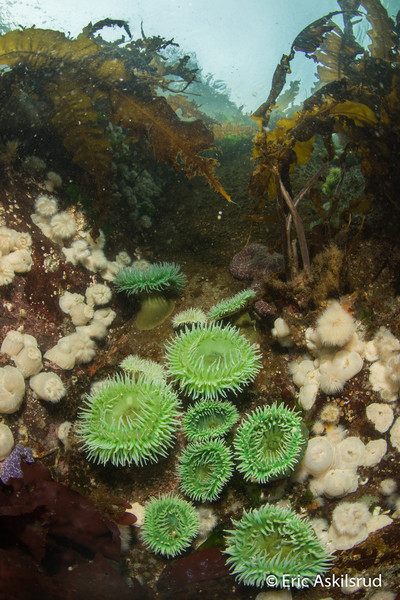 The shallows at Browning Wall