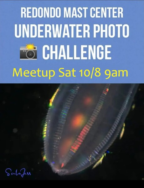 MaST Aquarium photo challenge  2022