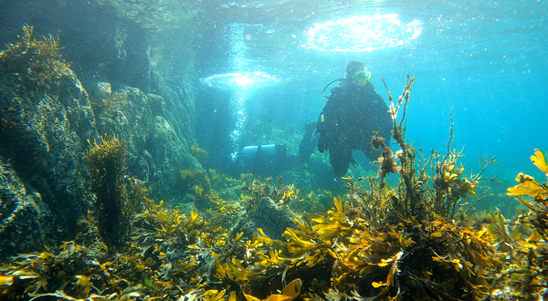 Klubben Dive Site