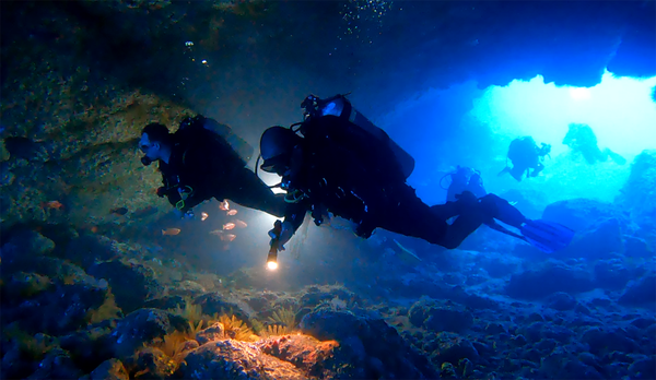 Neat swim-throughs and caverns.