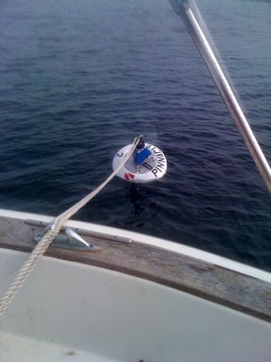 pinnacle buoy.jpg