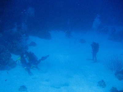 Seven &quot;average divers&quot; in Bonaire...Say Cheese!!